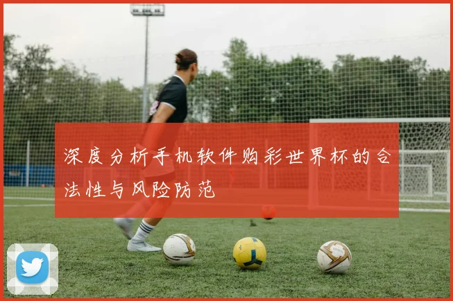 深度分析手机软件购彩世界杯的合法性与风险防范
