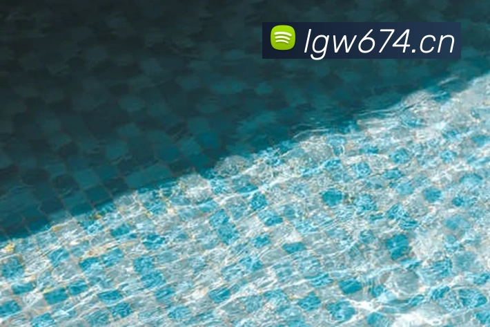 多媒体互动体验